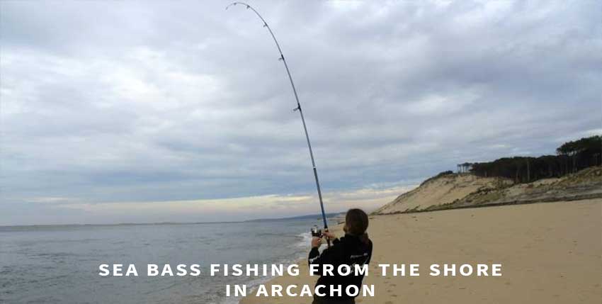 Sea bass fishing from the shore in Arcachon